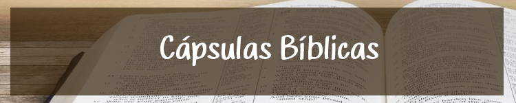 20 Octubre-El colesterol